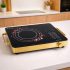 UNICRON PIRC 1.0 2000 Watts Cooktop Review : Should You Buy This Budget Induction?